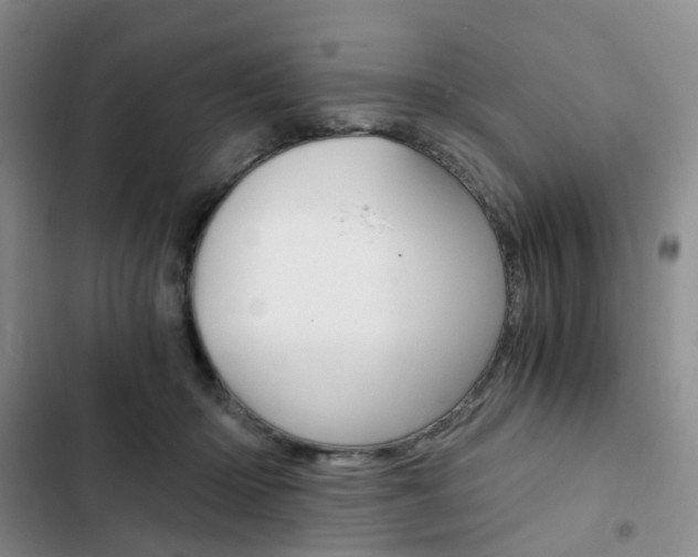 X0000103160414200808221157