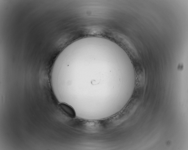 X0000103160415200808221157