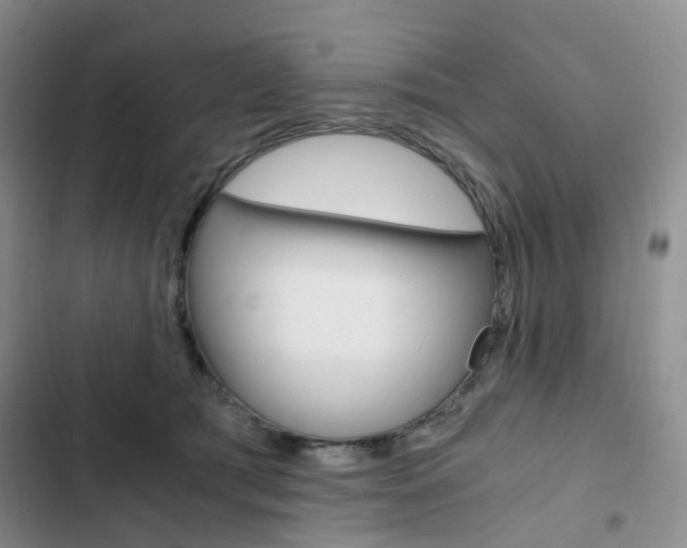 X0000103160417200808221157