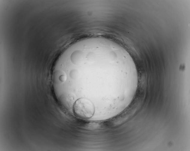 X0000103160418200808221157