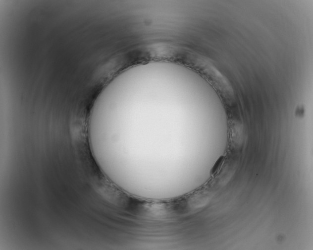 X0000103160419200808221157