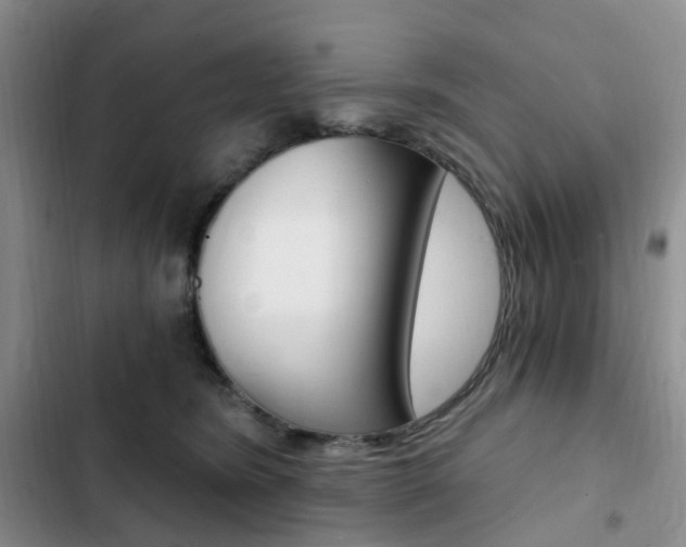 X0000103160420200808221157