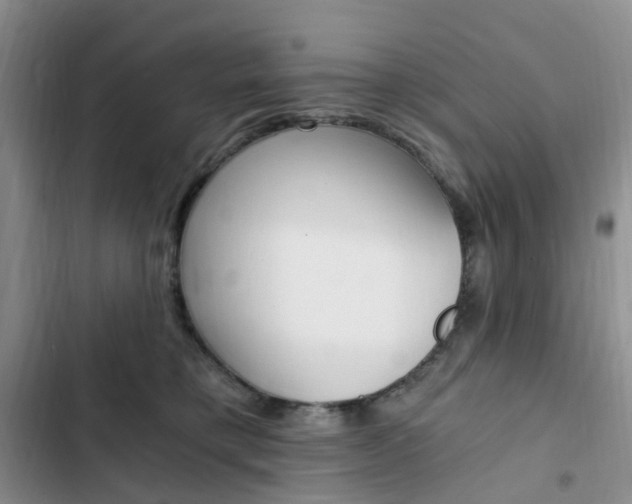 X0000103160421200808221157