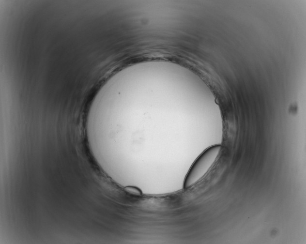 X0000103160422200808221157