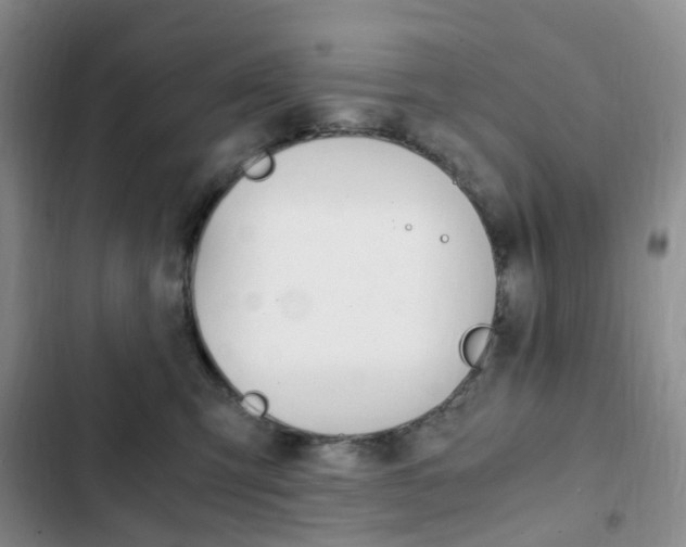 X0000103160423200808221157