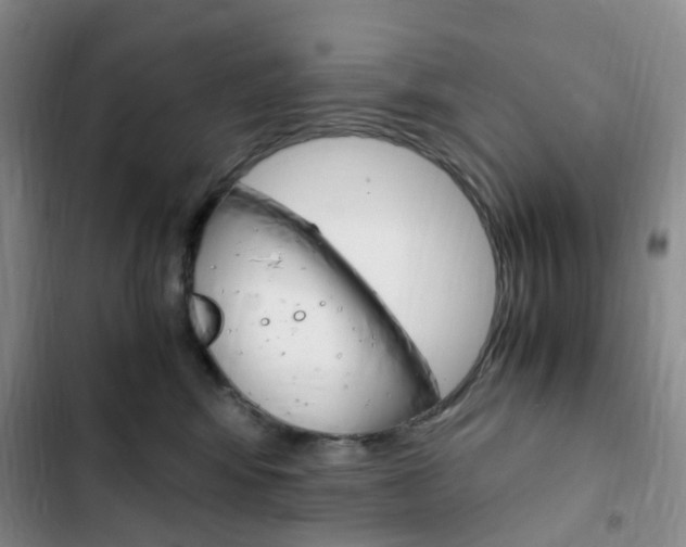 X0000103160424200808221157