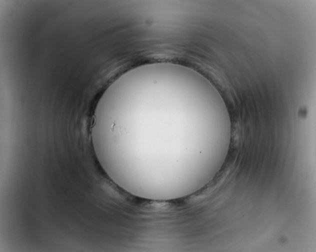 X0000103160428200808221157