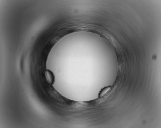 X0000103160429200808221157
