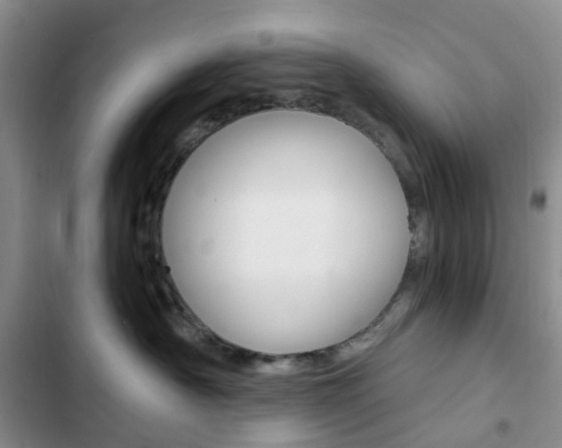 X0000103160430200808221157