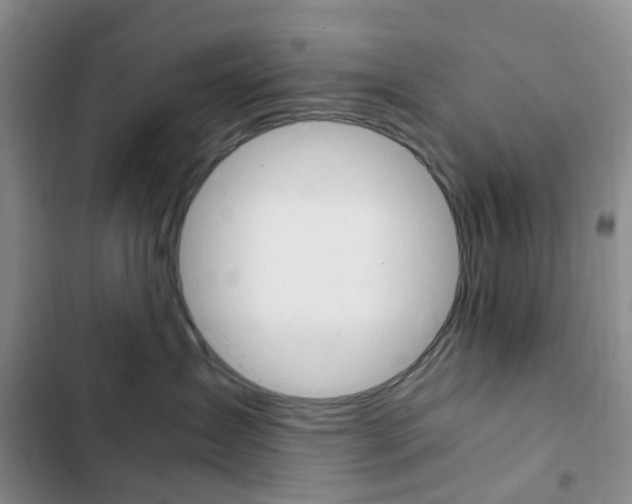 X0000103160431200808221157