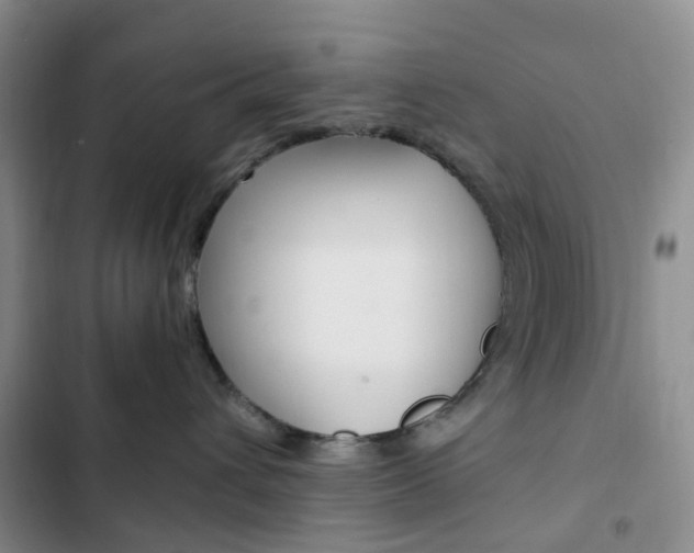 X0000103160432200808221157