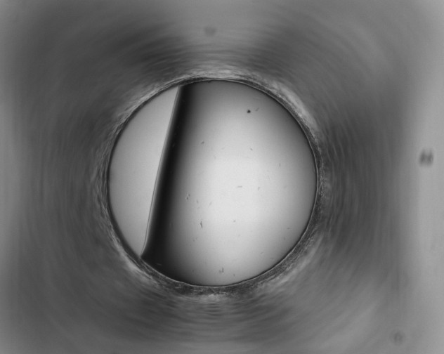 X0000103160433200808221156