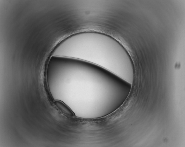 X0000103160434200808221156