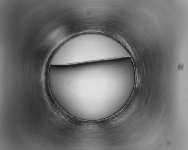 X0000103160435200808221156