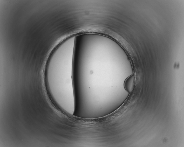 X0000103160438200808221156