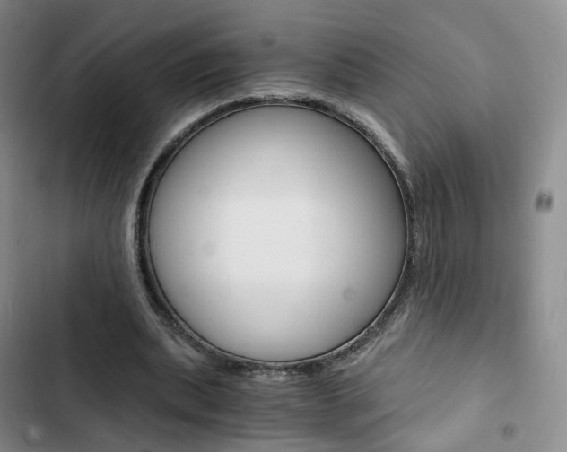 X0000103160439200808221156