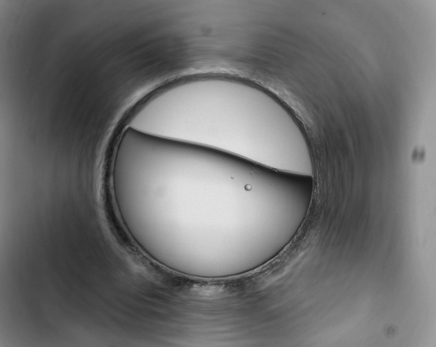 X0000103160440200808221156