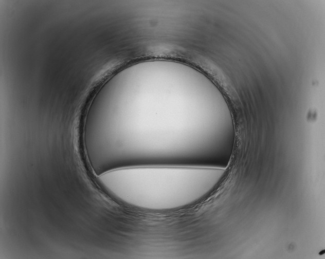 X0000103160442200808221156