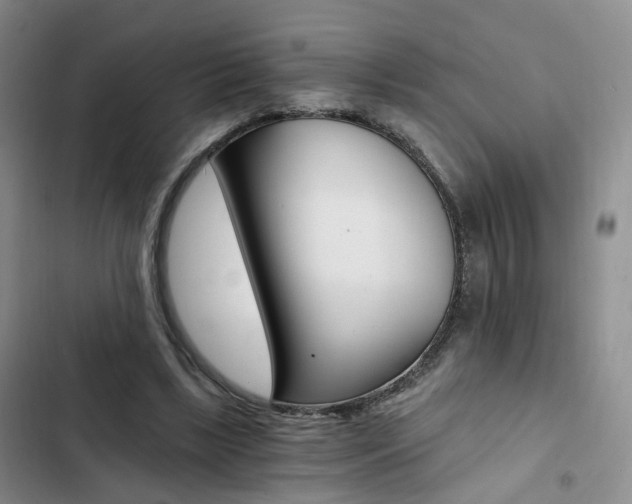 X0000103160443200808221156