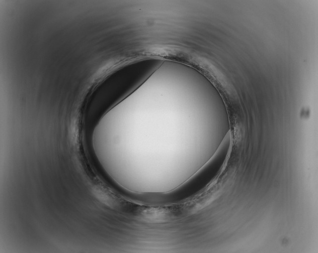 X0000103160444200808221156