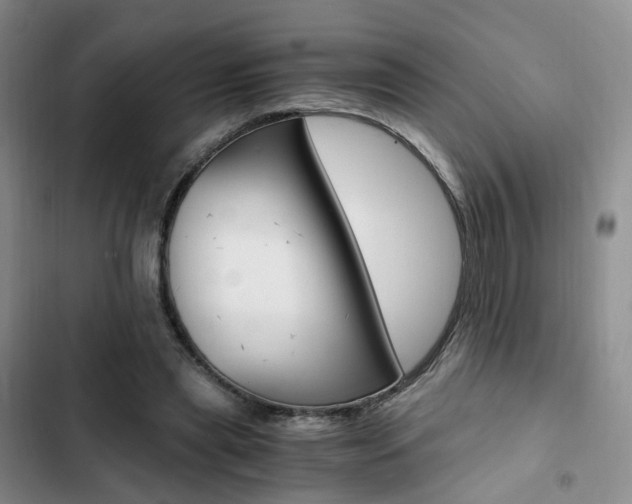X0000103160445200808221156