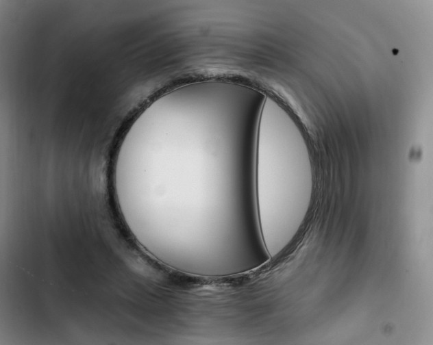 X0000103160447200808221156