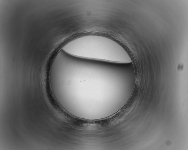 X0000103160448200808221156