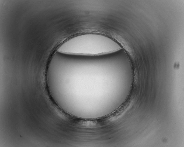 X0000103160449200808221156