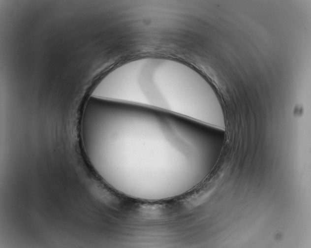 X0000103160450200808221156