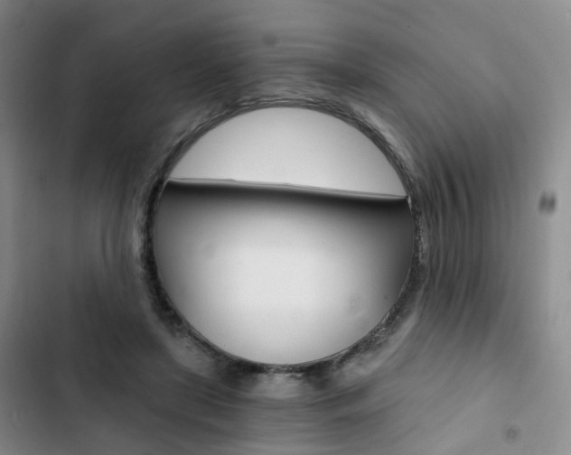 X0000103160451200808221156
