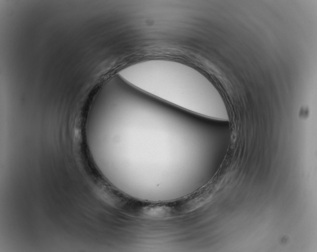 X0000103160452200808221156