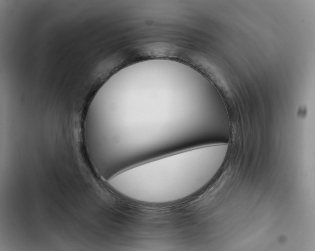 X0000103160453200808221156