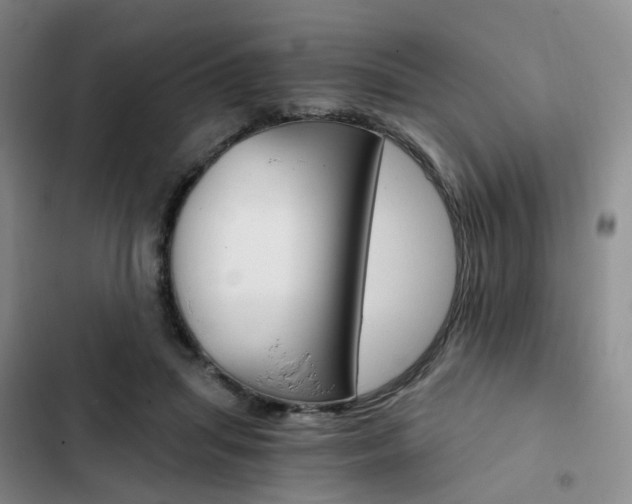 X0000103160455200808221156