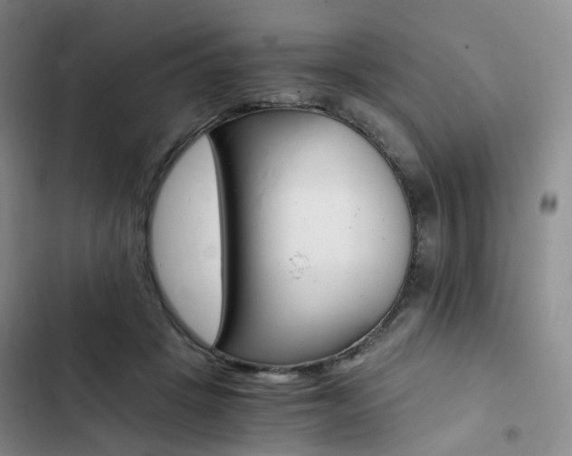 X0000103160457200808221156
