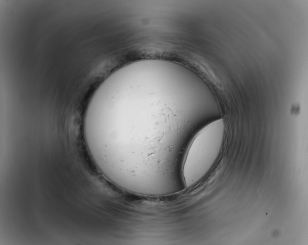 X0000103160458200808221156