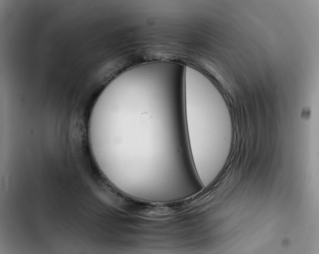 X0000103160459200808221156