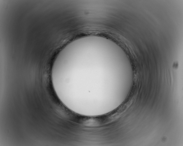 X0000103160460200808221156