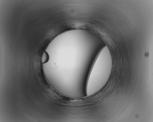 X0000103160461200808221156