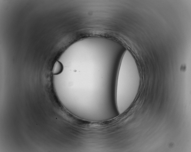 X0000103160462200808221156