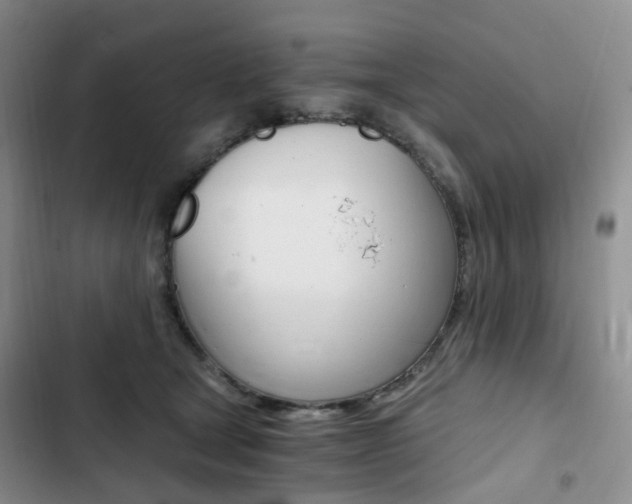 X0000103160465200808221156