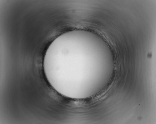 X0000103160466200808221156