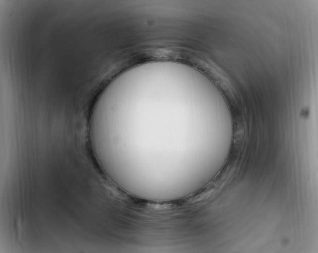 X0000103160469200808221156