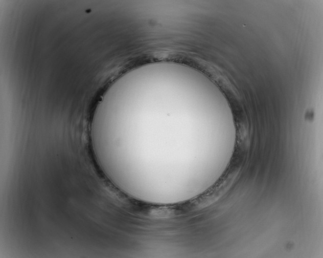 X0000103160470200808221156