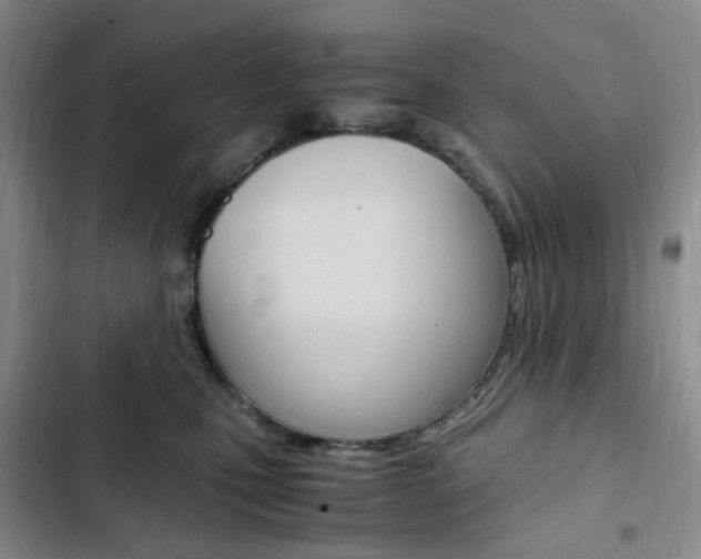 X0000103160471200808221156