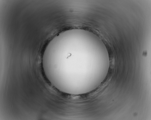 X0000103160472200808221156