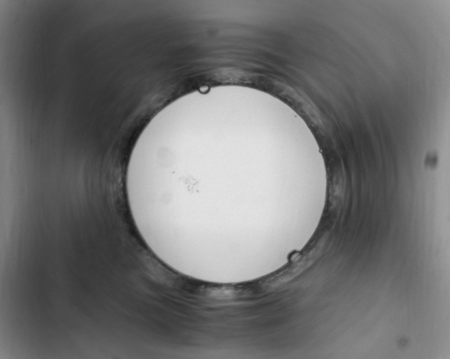 X0000103160473200808221156
