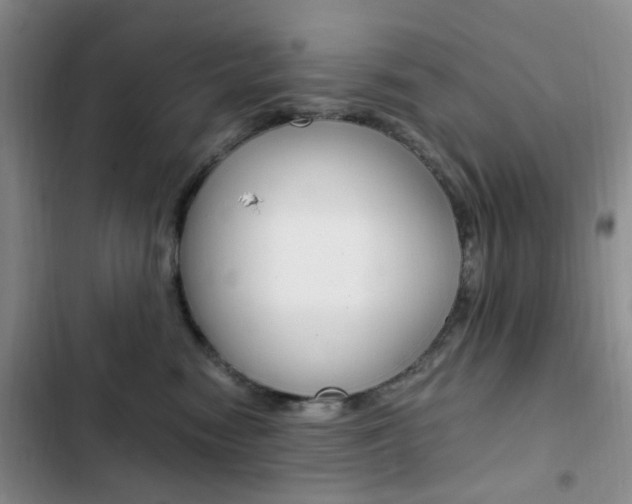 X0000103160474200808221156