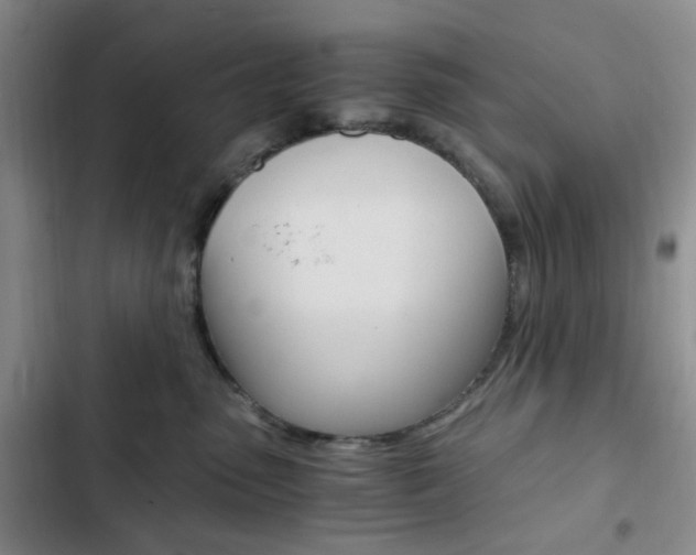 X0000103160475200808221156