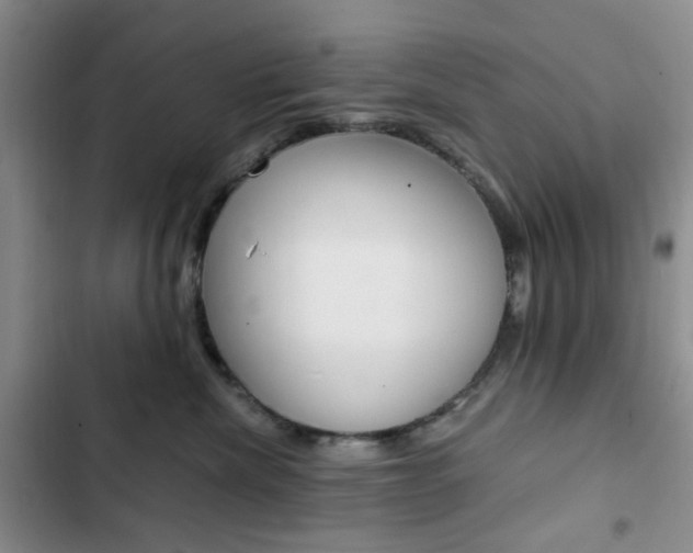 X0000103160476200808221157