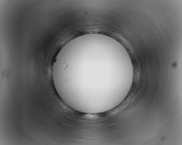 X0000103160477200808221157